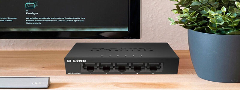 DGS-F105